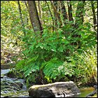 ramhultafallet är besegrat!